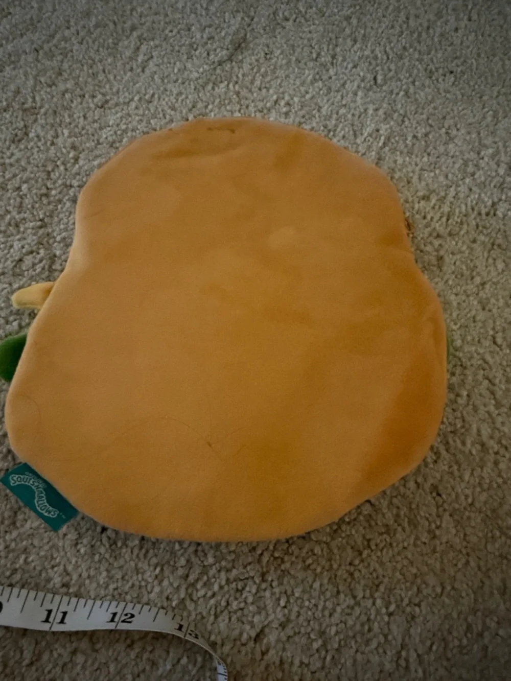 Squishmallows soft can